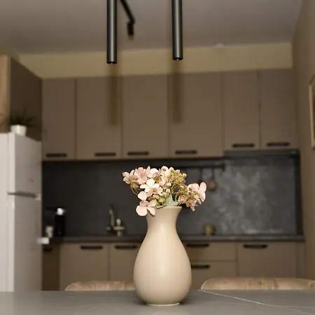 Apartament инфинити *